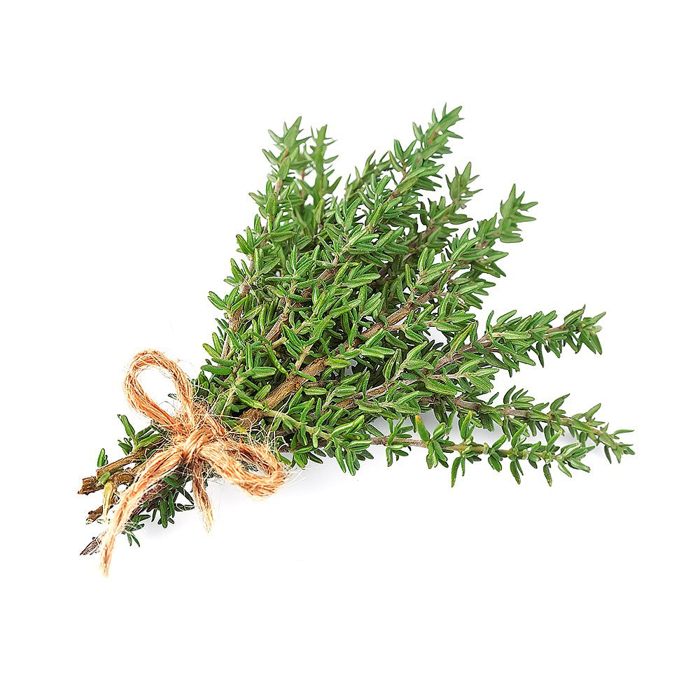 Winter Thyme