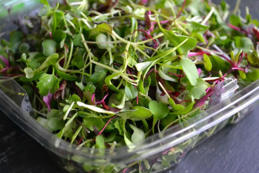 Mighty Mix Microgreens